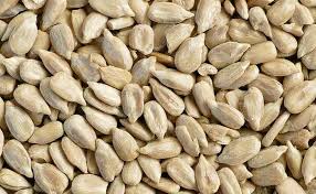 مغز تخمه آفتابگردان سرکه ای