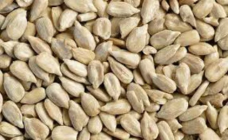 مغز تخمه آفتابگردان سرکه ای