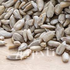 مغز تخمه آفتابگردان خام